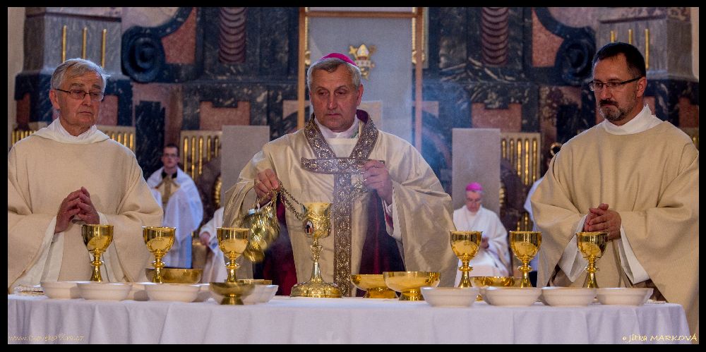 Biskupské svěcení, Katedrála sv. Mikuláše, 13.6.2016, JIMA-56